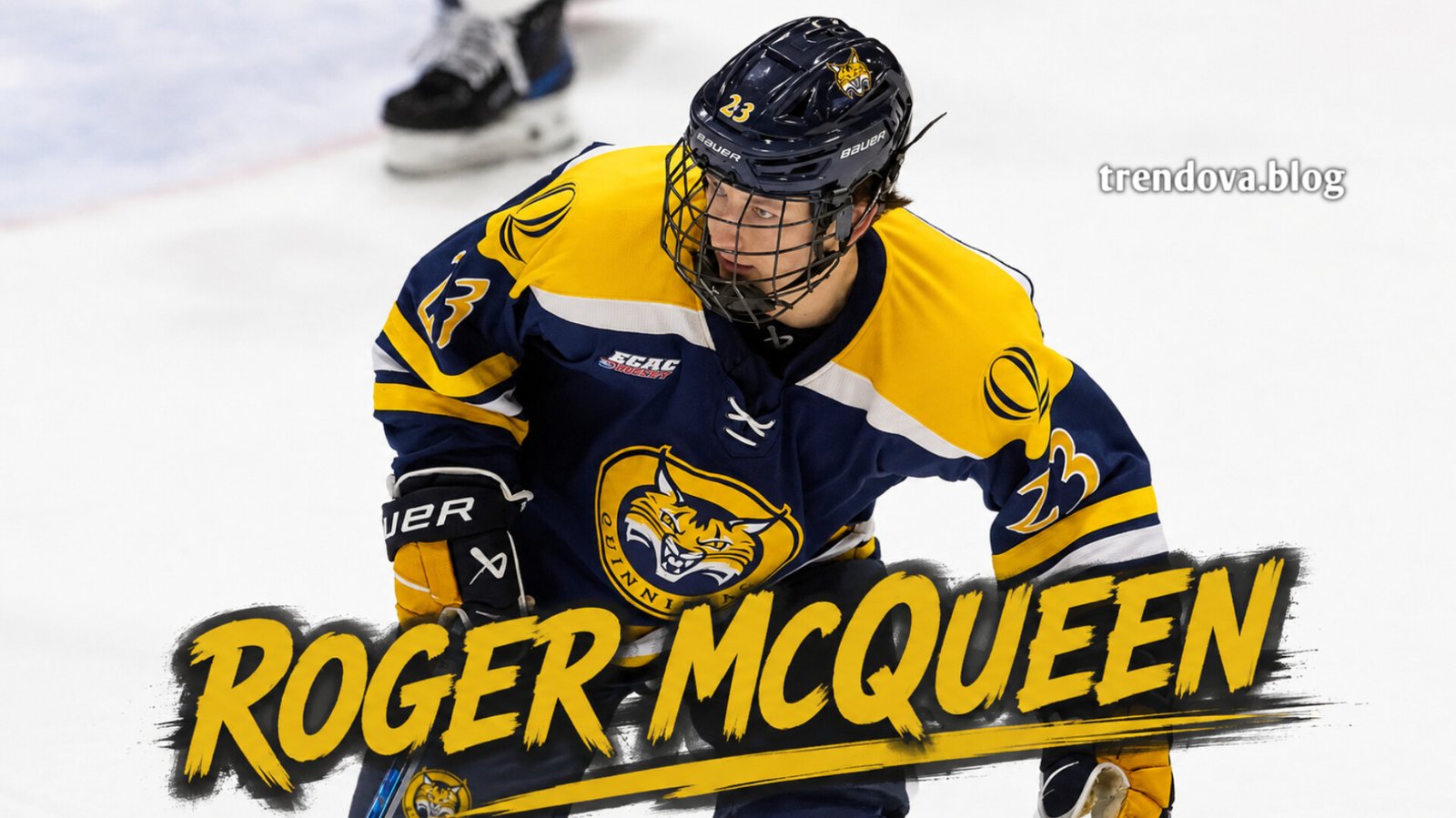 Roger McQueen: Rising NHL Prospect, Playing Style, Career Stats, and 2026 Outlook